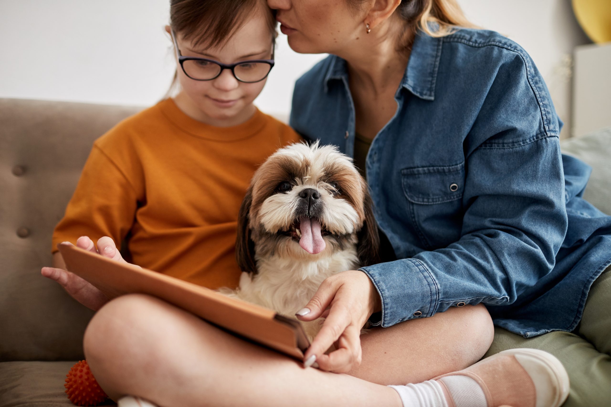 Portrait of small cute dog sitting on couch with family and looking at camera, copy space